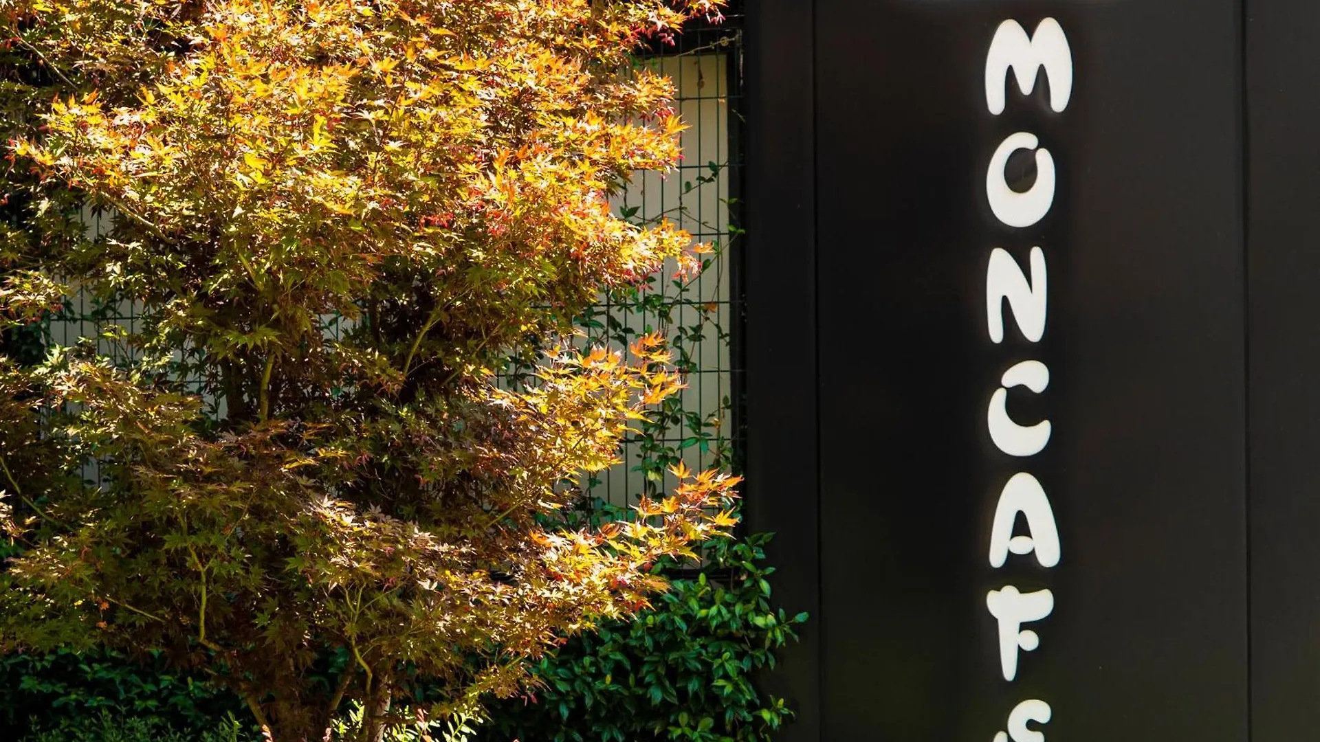 ****  Moncafe Boutique Hotel & Spa Tirana Albanië